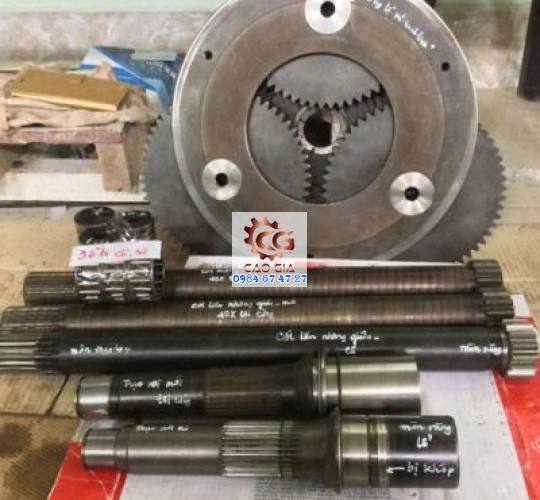 Nhông Hành Tinh Mẫu 02